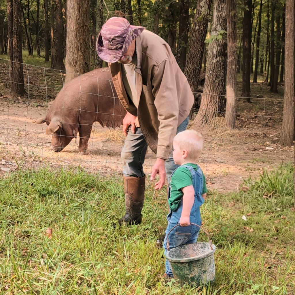 Joe at J & D's - Hog Specialist